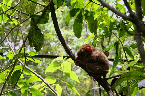 sleeping during the day