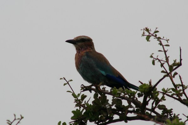 on a rainy day on a rainy day