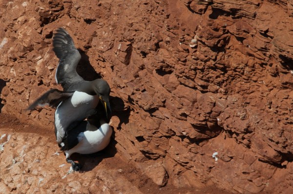 there's no privacy in the colony