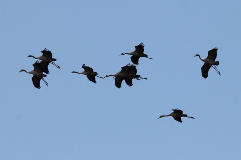 approach for landing