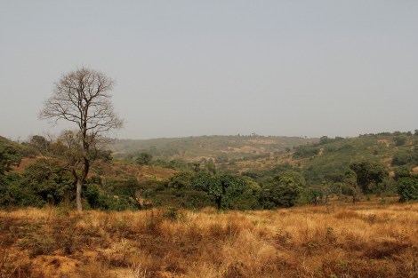 landscape around Dalaba
