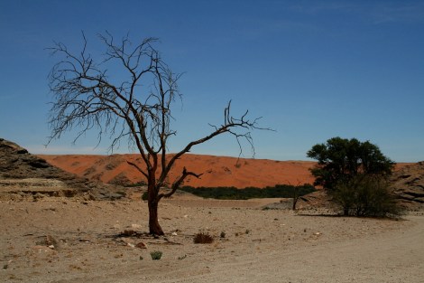 reaching Homeb at the Kuiseb River