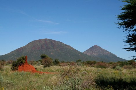 termite hill in the Namibian countryside