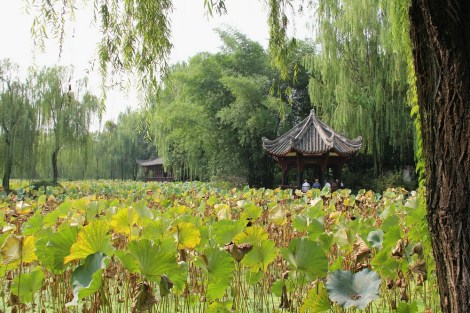 inside Guihu Park